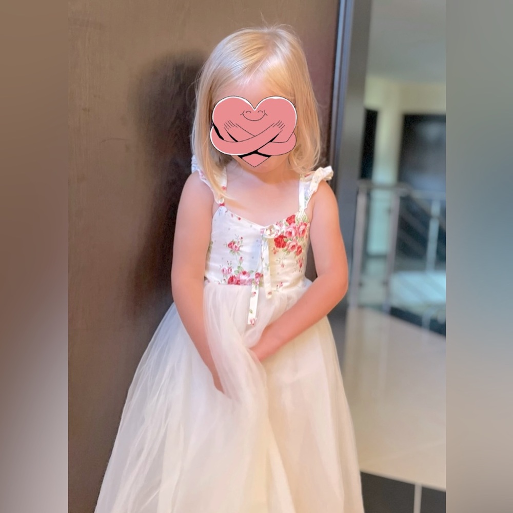 NWT little girls flower and tulle gown